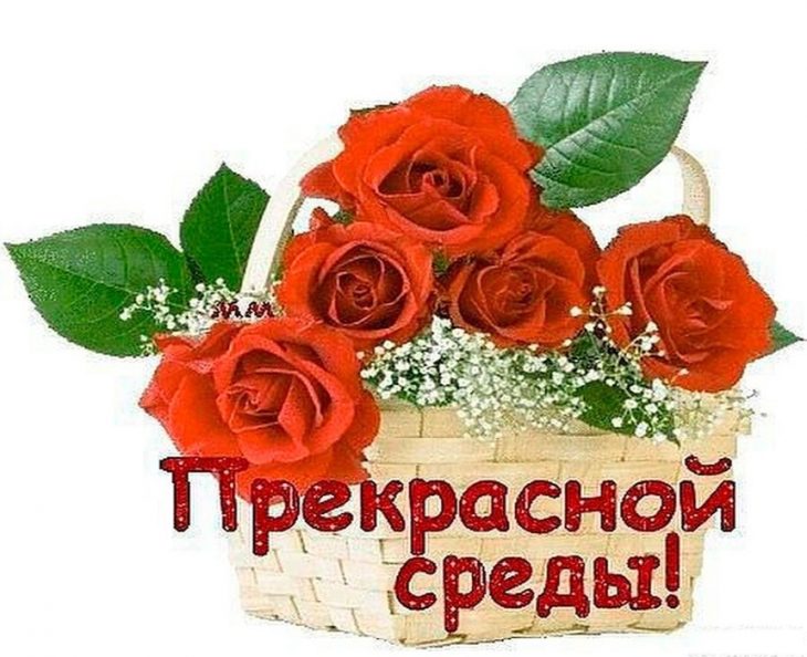 Открытки